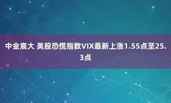 中金宸大 美股恐慌指数VIX最新上涨1.55点至25.3点