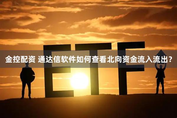 金控配资 通达信软件如何查看北向资金流入流出?