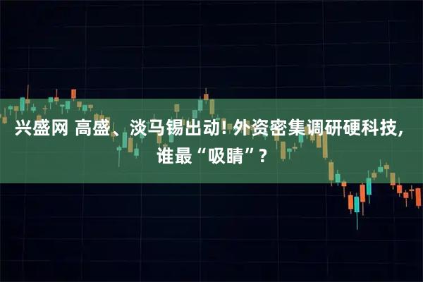 兴盛网 高盛、淡马锡出动! 外资密集调研硬科技, 谁最“吸睛”?