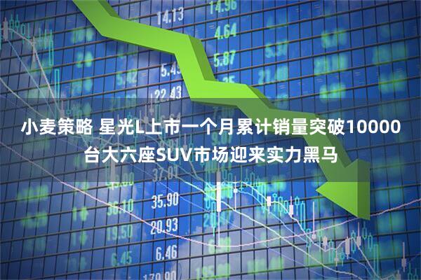 小麦策略 星光L上市一个月累计销量突破10000台大六座SUV市场迎来实力黑马