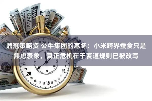 鼎冠策略资 公牛集团的寒冬：小米跨界蚕食只是焦虑表象，真正危机在于赛道规则已被改写