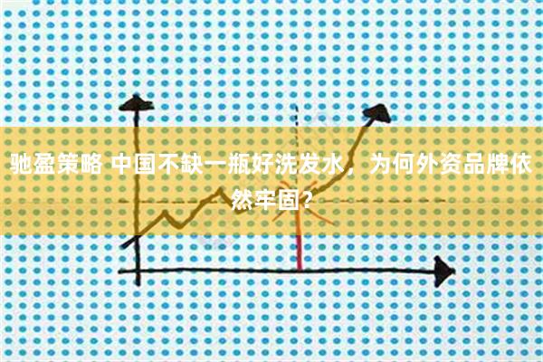 驰盈策略 中国不缺一瓶好洗发水,为何外资品牌依然牢固?