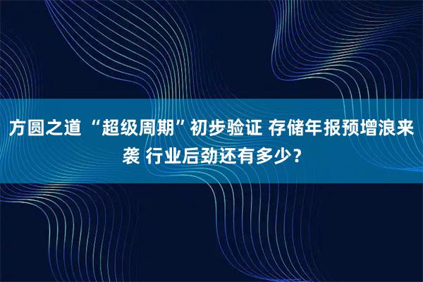 方圆之道 “超级周期”初步验证 存储年报预增浪来袭 行业后劲还有多少？